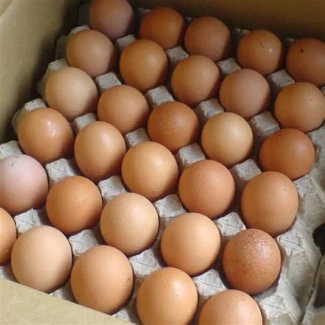 satu peti telur berapa kilo